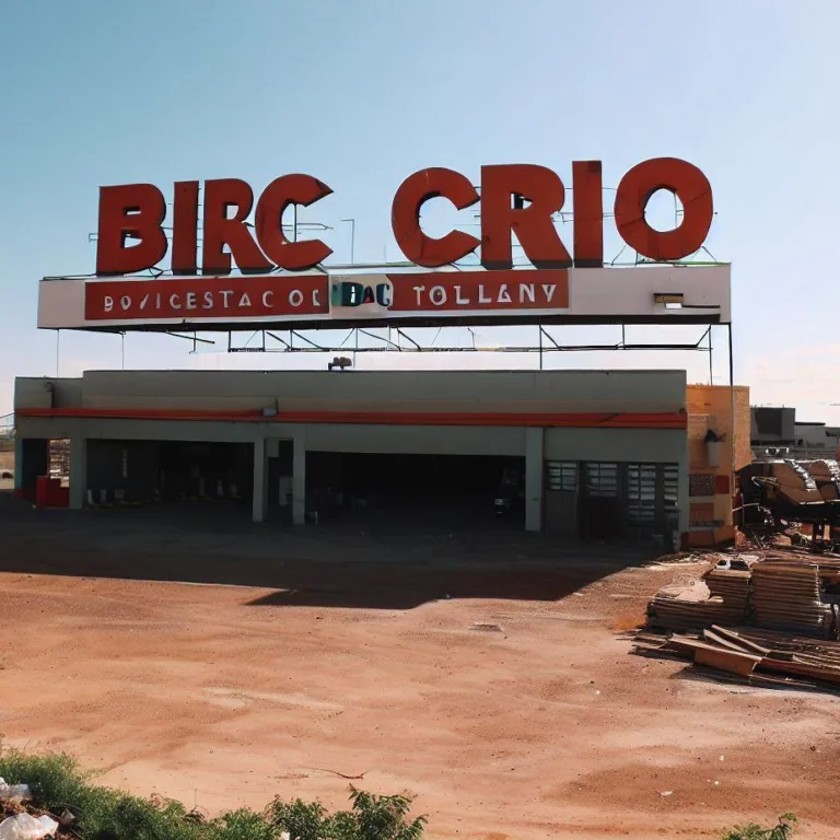 Brico Depot Calarasi